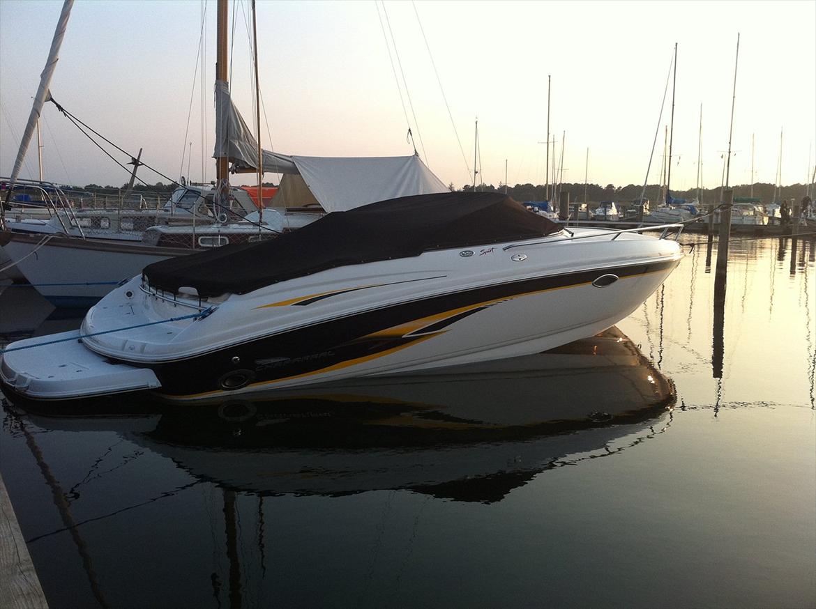 Chaparral 235 SSI Sport billede 10