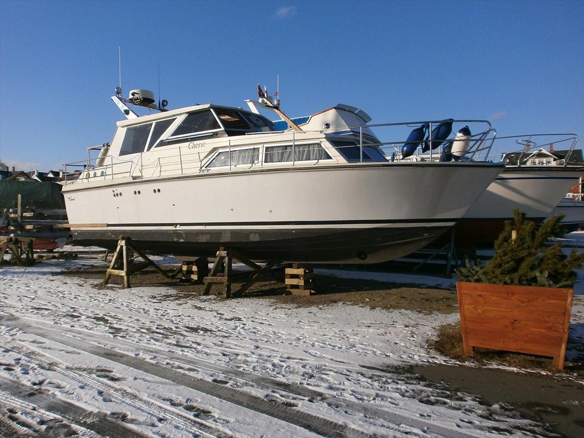 Coronet 31 Aft cabin - Den træoverbygning og hardtop regner jeg med at afmontere. billede 2