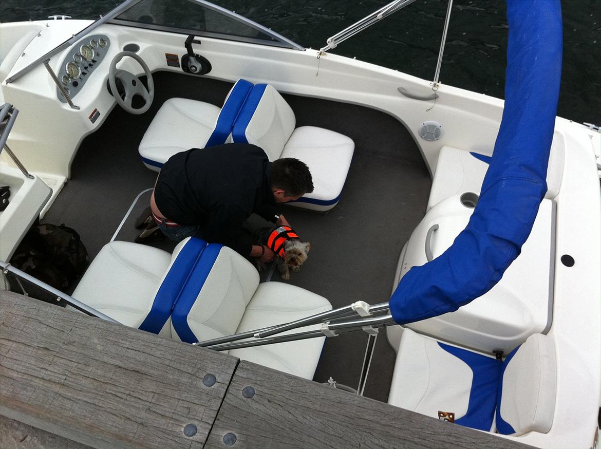 Bayliner 175 BR billede 7