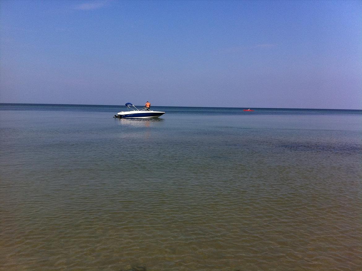 Bayliner 175 BR billede 8