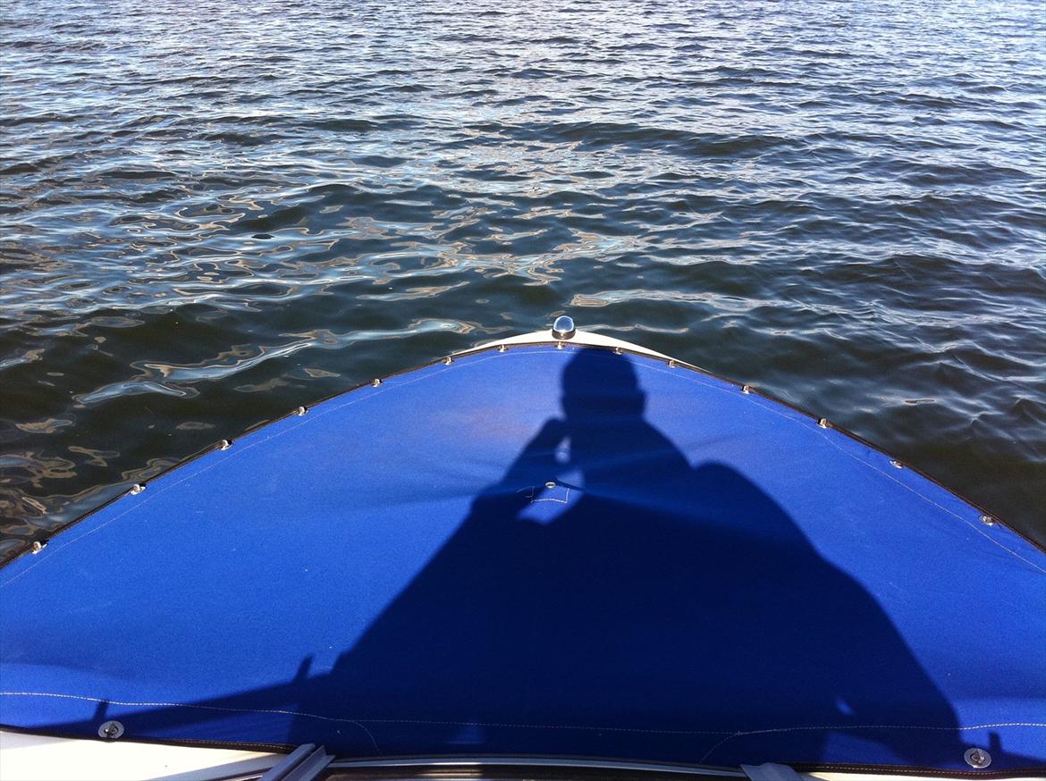 Bayliner 175 BR billede 9