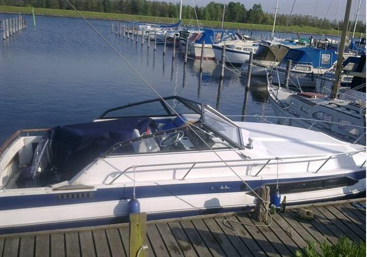 Regal 233 xl ambasador billede 1