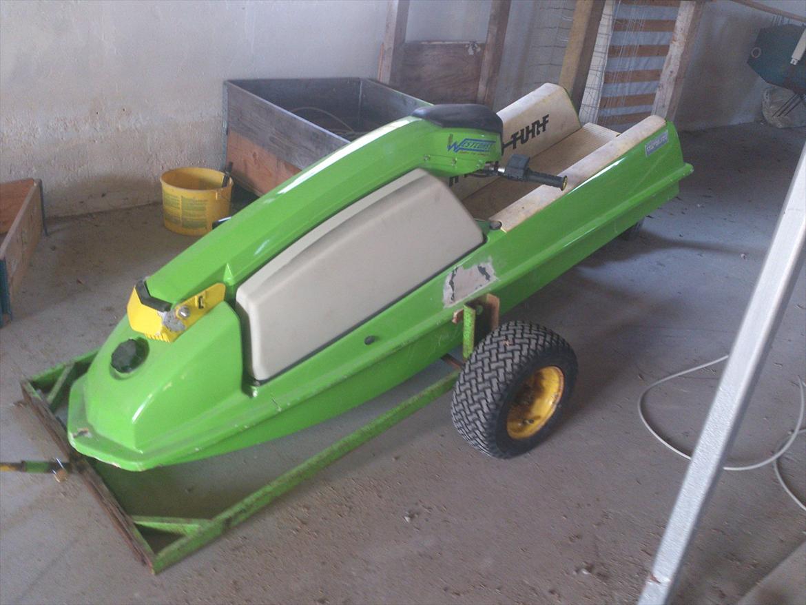 Kawasaki 300 sv billede 1