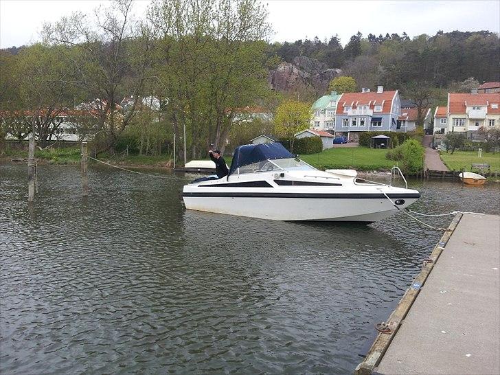 Cruisers Yachts crupier-comfort billede 12