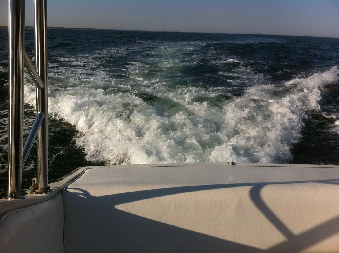 Wellcraft 216 billede 6