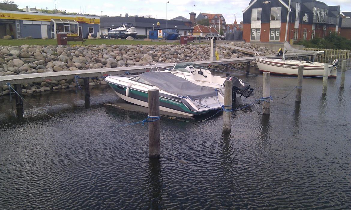 Chaparral 2150 SX billede 14