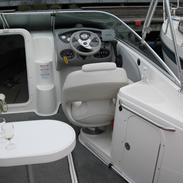 Chaparral 215 SSi