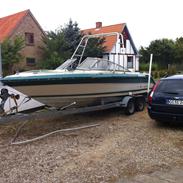 Sea Ray 230 Sorrento, Projekt