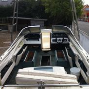 Sea Ray 230 Sorrento, Projekt