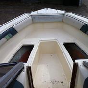 Sea Ray 230 Sorrento, Projekt