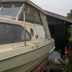 Shetland 536