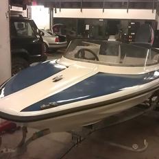 Shakespeare Waverider Fiesta