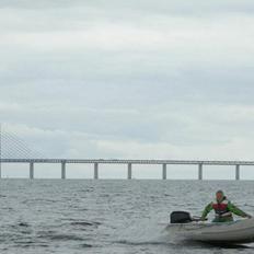 Quicksilver 270