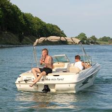 Sea Ray 180 BR