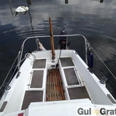 Carina 20