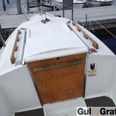 Carina 20