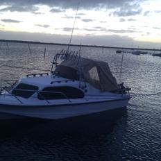 Shetland 535