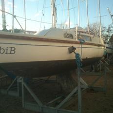 Parant pandora 22