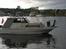 Shetland 536