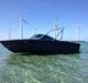 Chris Craft Scorpion 210