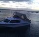 Shetland 535