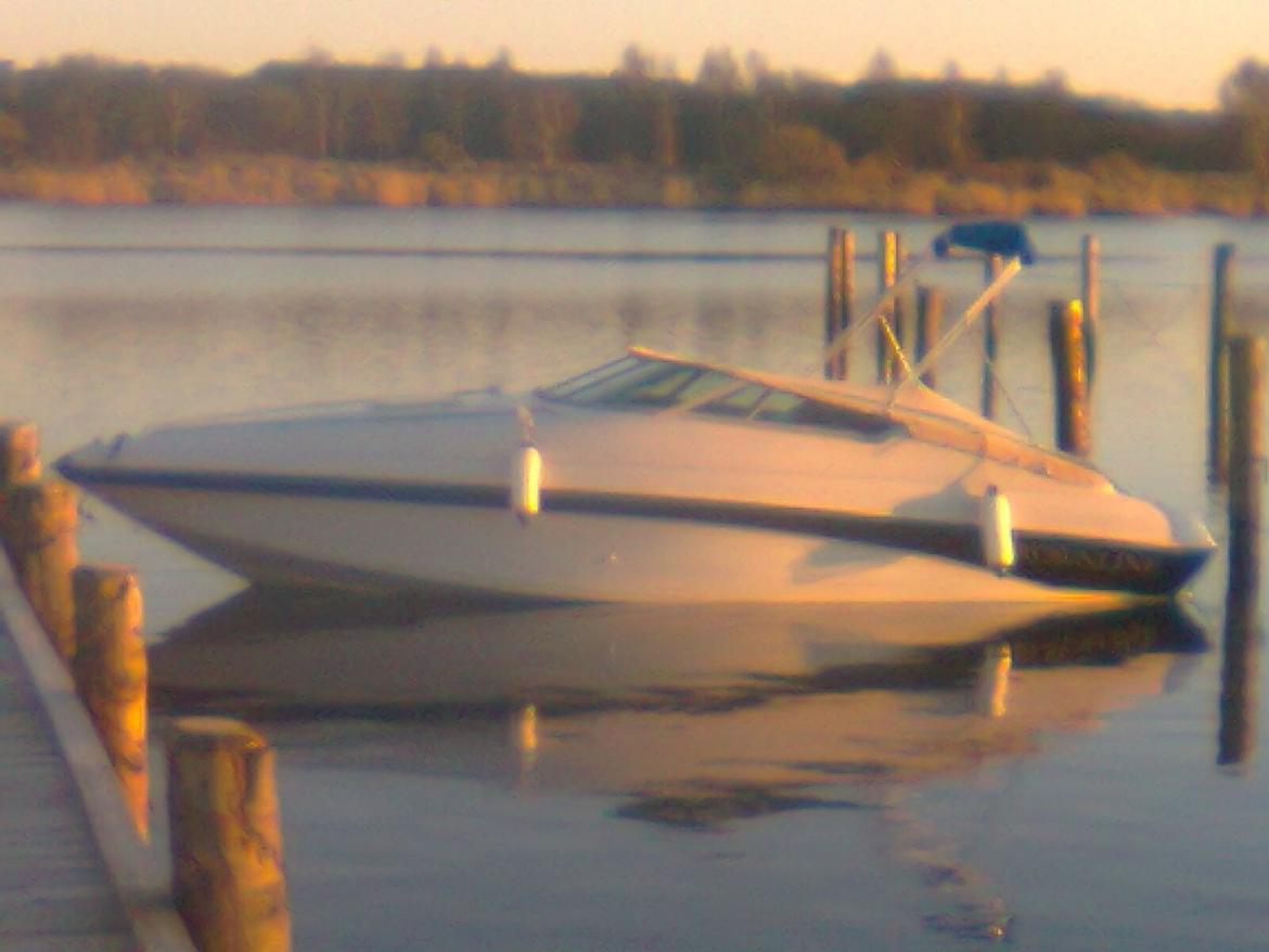 Crownline 225 ccr billede 2