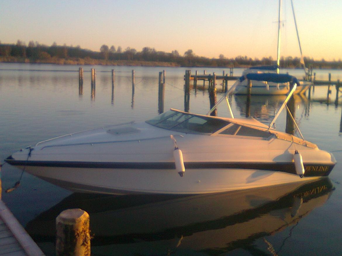 Crownline 225 ccr billede 3