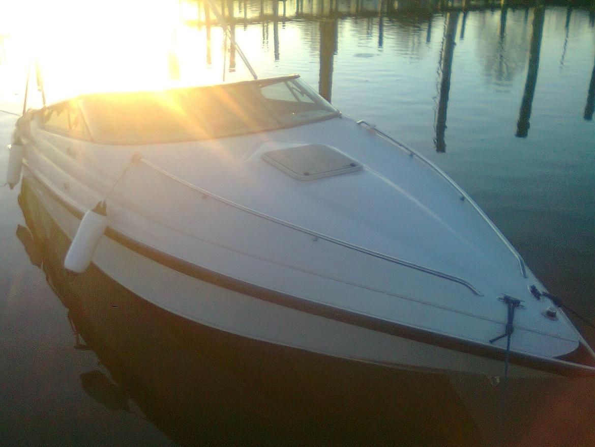 Crownline 225 ccr billede 4