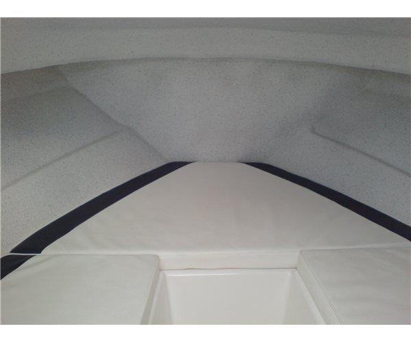 Quicksilver 450 CAB (Solgt) billede 7