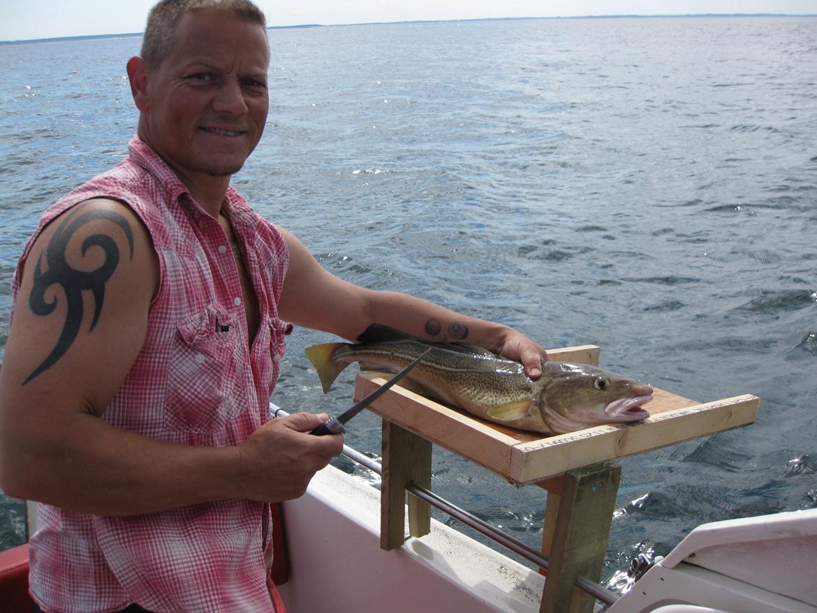 Rana Plast 18" - En prototype af rensebord, den er godkendt og skal nu videre ud tænkes. billede 13