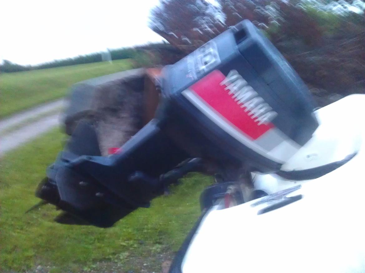 Shakespeare Waverider Fiesta billede 14