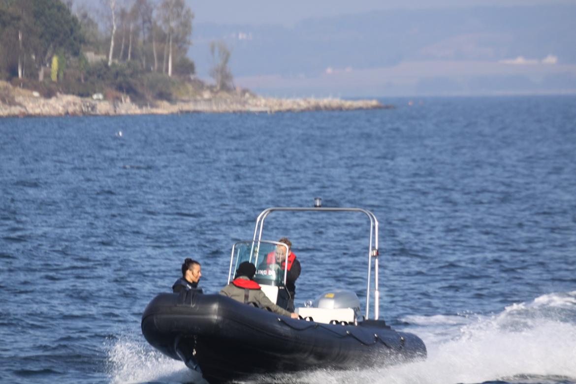 Rib Kaiyan 580 billede 8