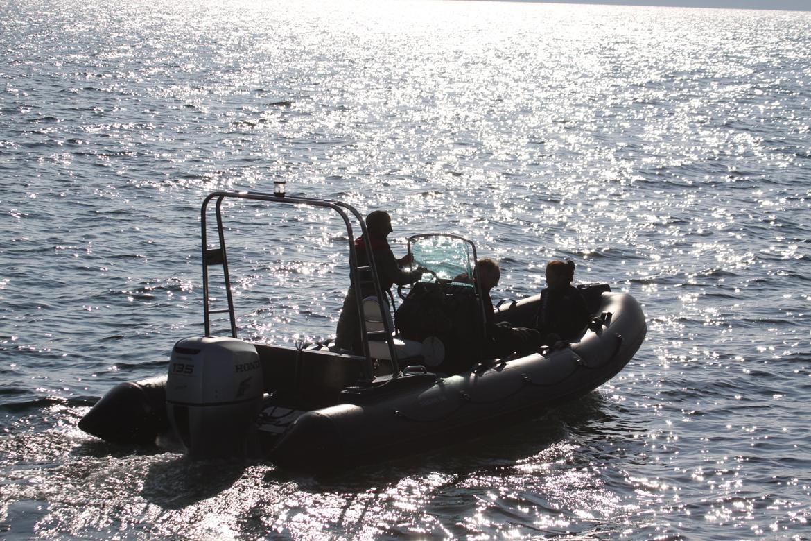 Rib Kaiyan 580 billede 12