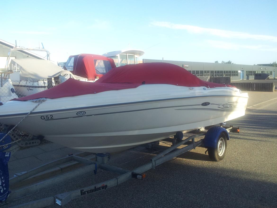 Sea Ray 180 Sport BR billede 7