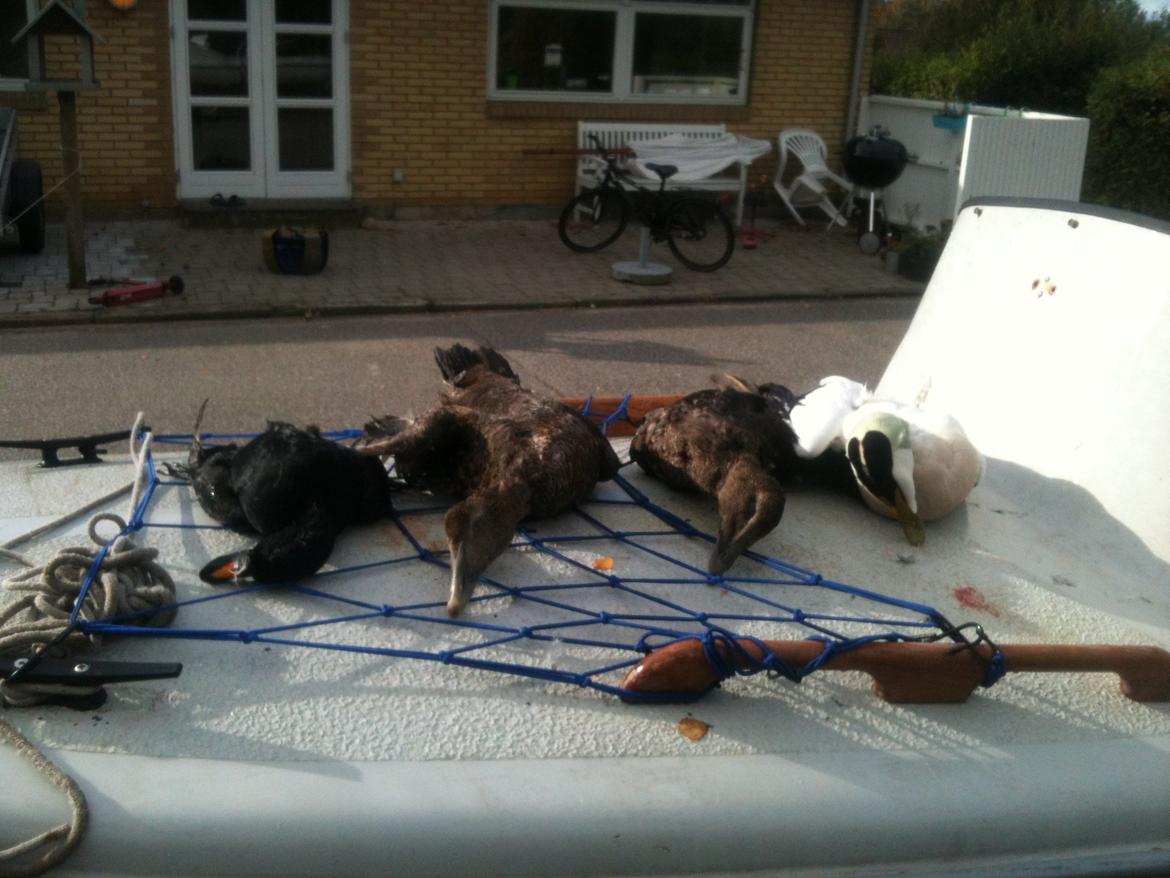 Jagt havjagt 16 billede 8