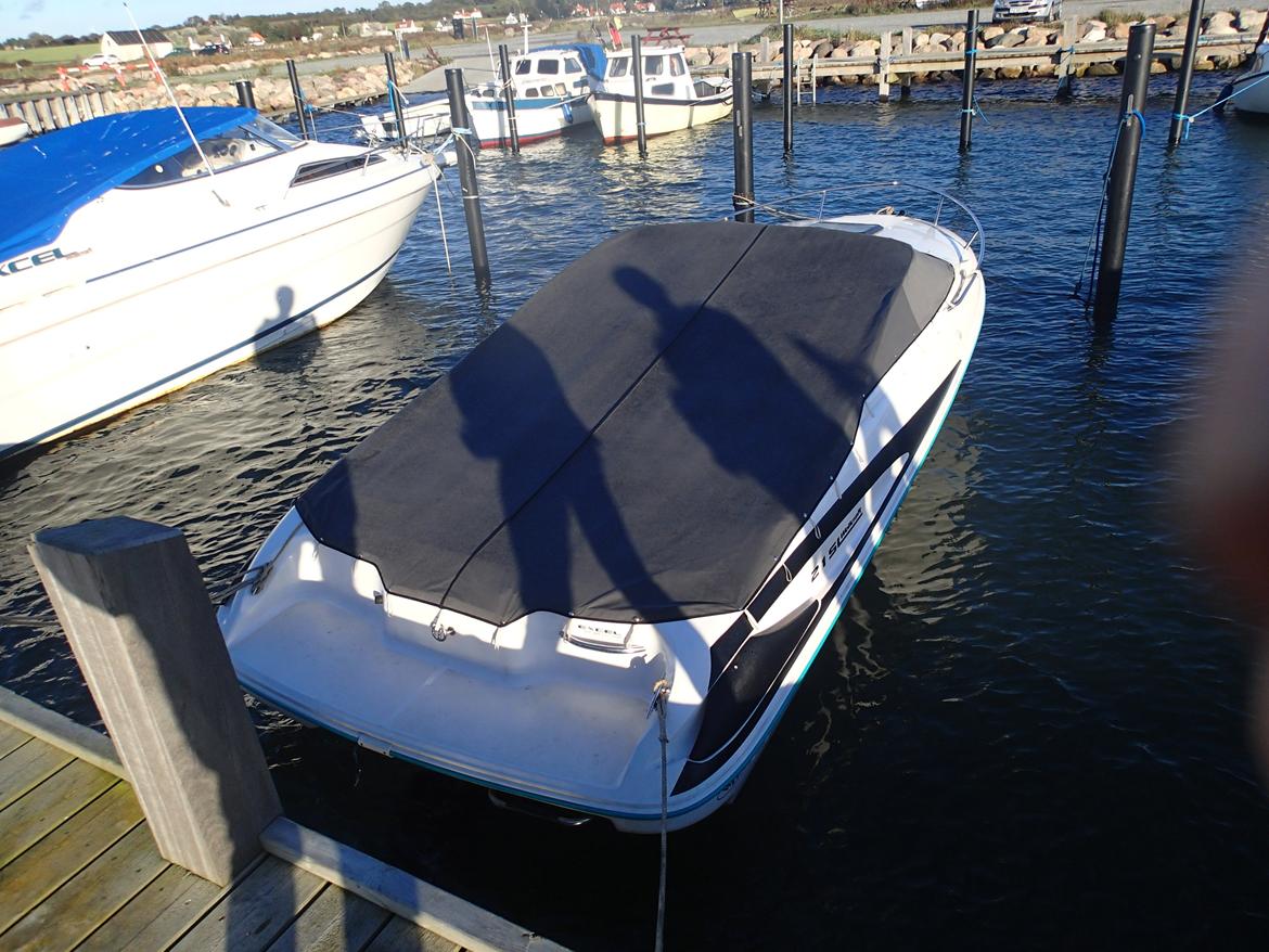 Wellcraft Excel 21 Sl billede 10