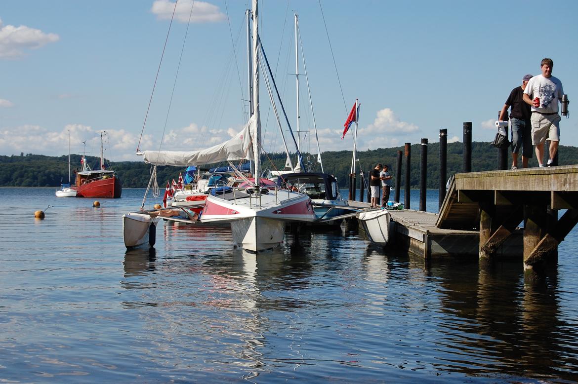 X Trident 27/3 - Andkærvig, Vejle fjord. billede 10