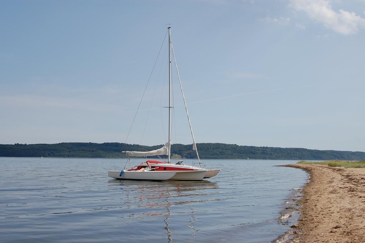 X Trident 27/3 - Øst for Brejning havn, Vejle fjord billede 7