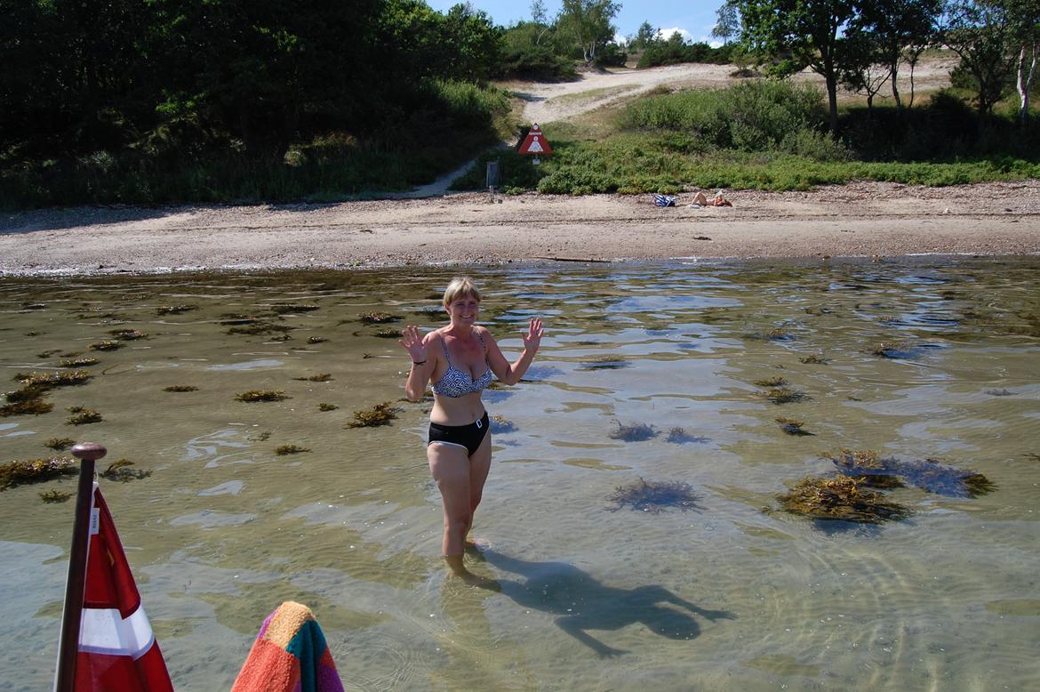 X Trident 27/3 (solgt) - En trimaran kræver ikke meget vand når ror og sværd er trukket op ;-)
Man skal dog huske at tage hensyn til høj og lavvande, hvis man skal afsted igen til et bestemt tidspunkt. billede 8