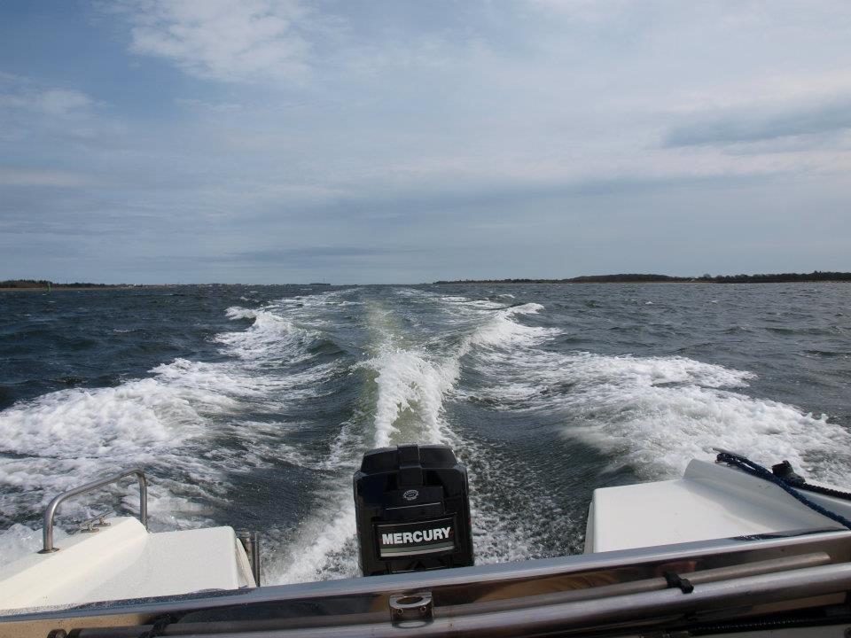 Selco Glasfiber speedbåd billede 4