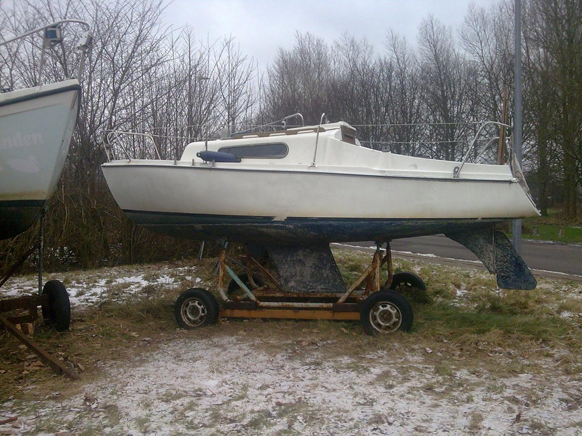 carina 20 sailboat