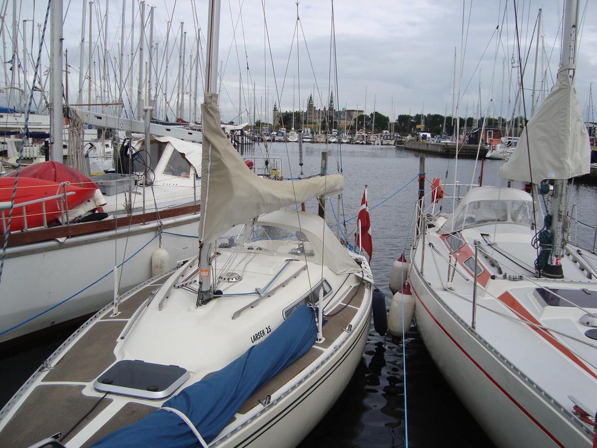 Larsen 25 - Helsingør 2011 billede 18
