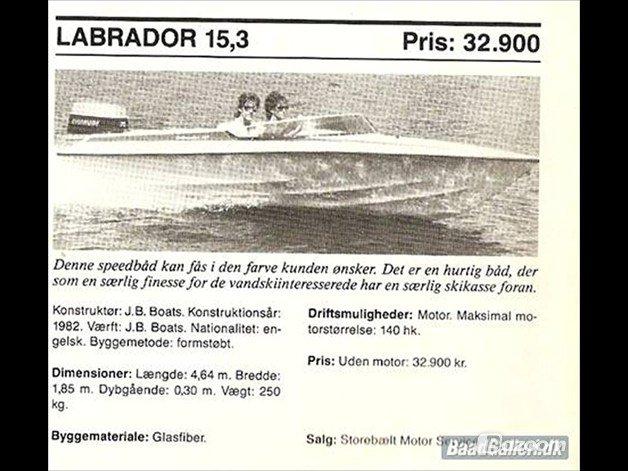 Labrador 15,3 billede 4