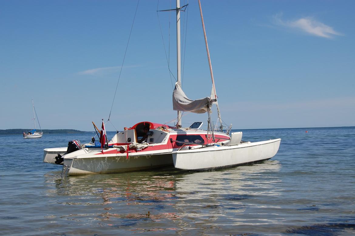 X Trident 27/3 - Hvidbjerg strand, Vejle fjord billede 12