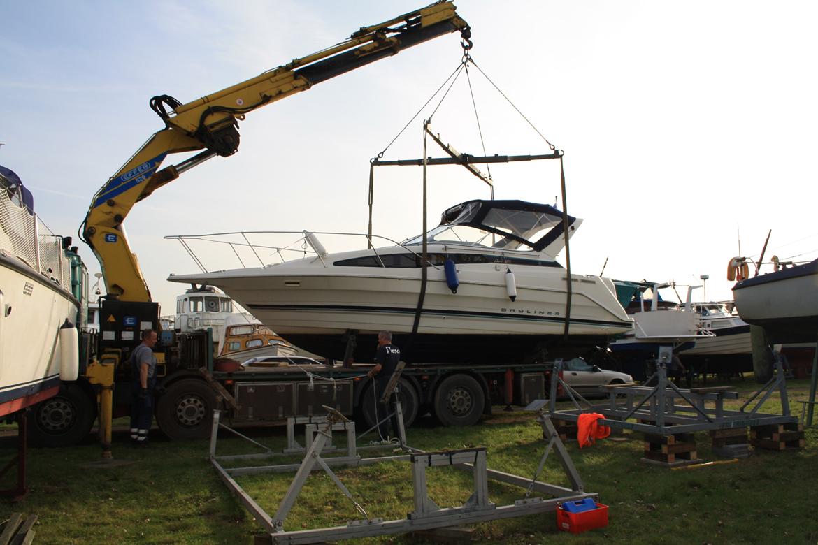 Bayliner Cierra 2855 billede 4