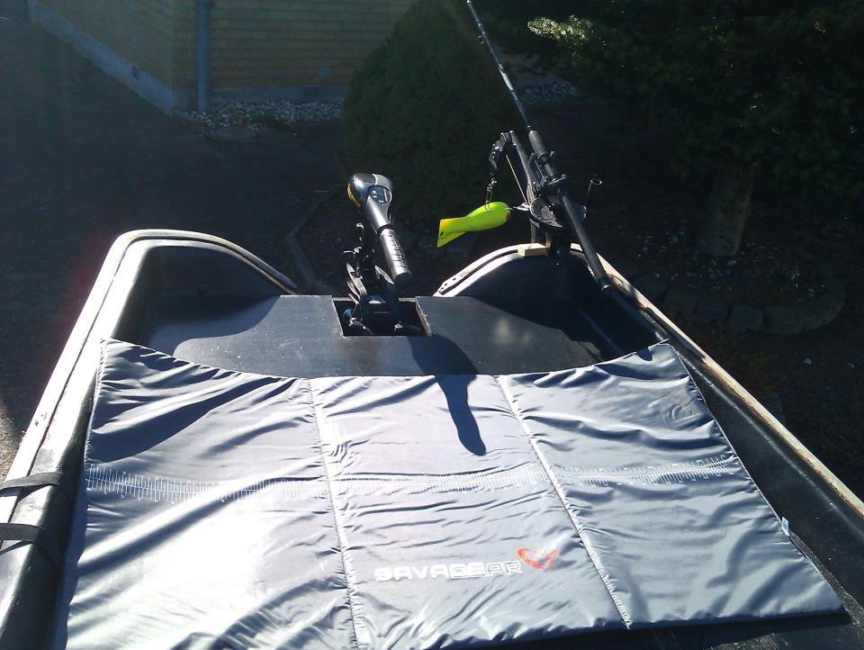 X predator billede 15