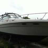 Sea Ray Sundancer 330