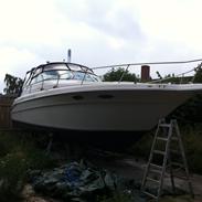 Sea Ray Sundancer 330