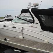 Sea Ray 315 Sundanser