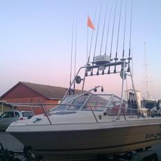 Campion Explorer 542